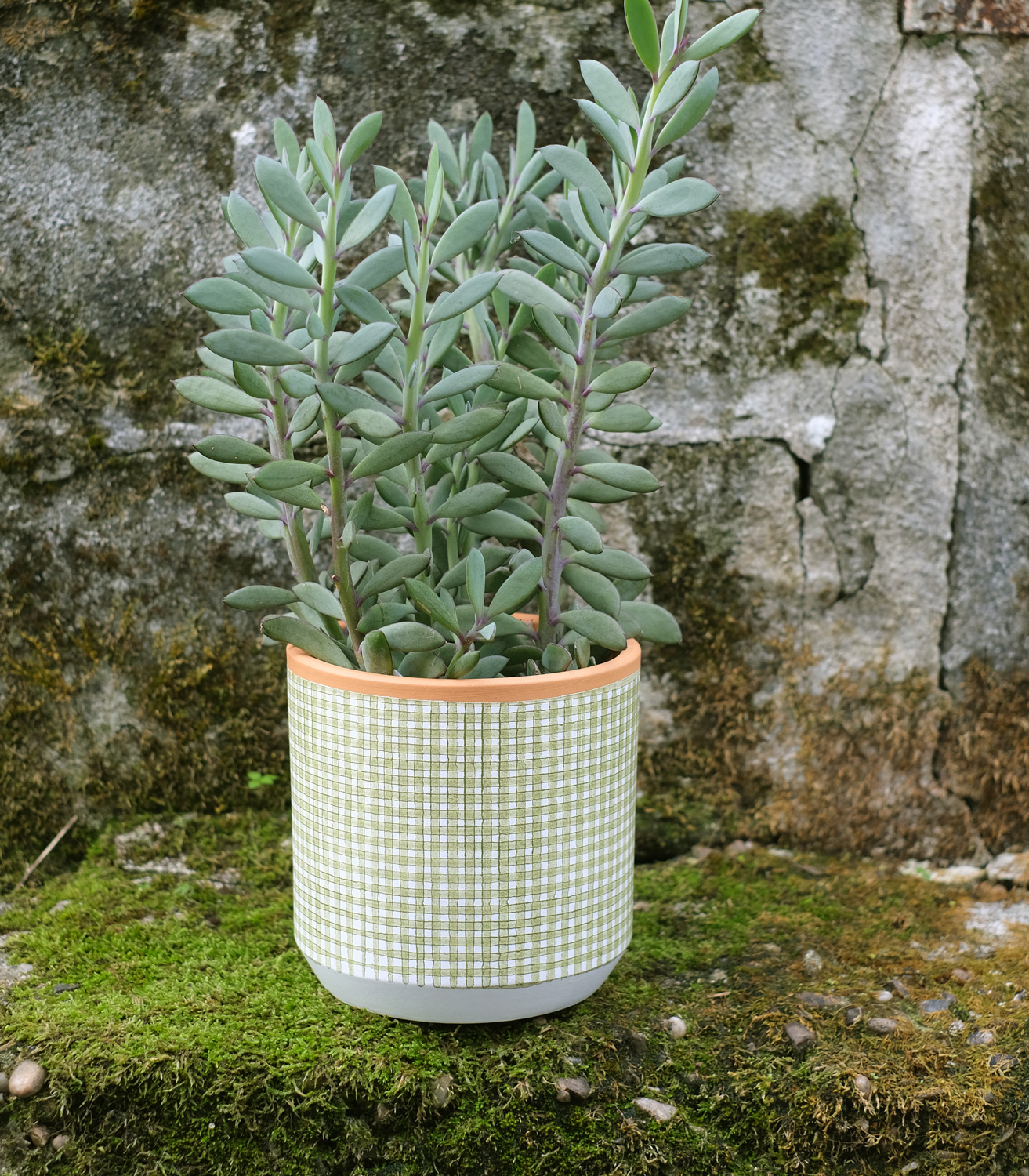 Bernaldo - vert mousse/citrouille – Image 4