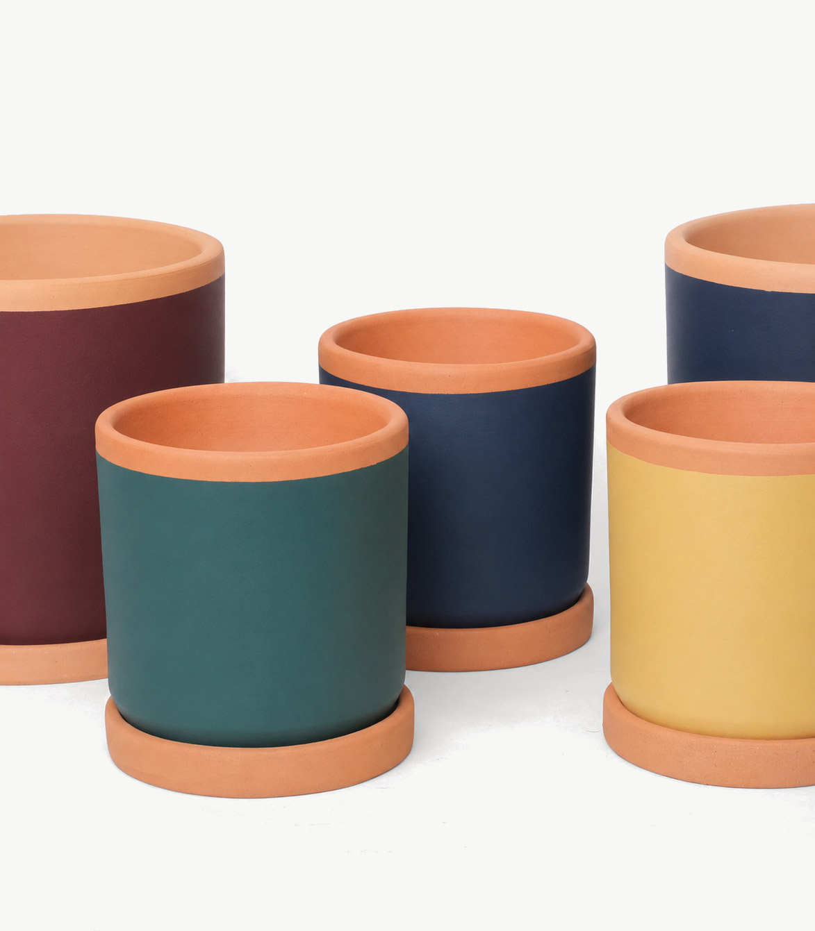 Bieito – pack descubrimiento (color 1)